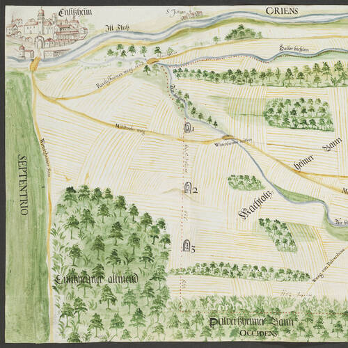 Ensisheim und die Habsburger im Rheingebiet