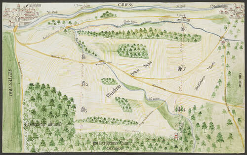 Plan des sogenannten Kupp-Zehnten in Machtolsheim bei Ensisheim, 1706 (B 237-238/187, Nr. 137)